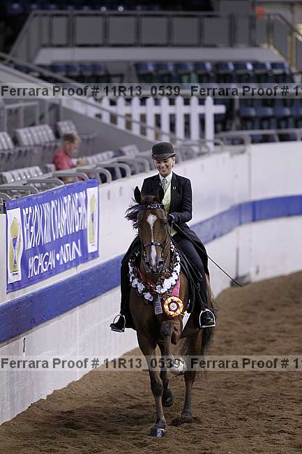 Proof 11r13_0539
