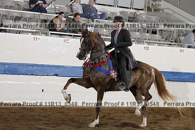 Proof 11r13_0548