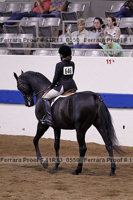 Proof 11r13_0550