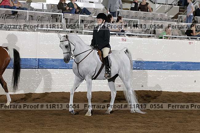 Proof 11r13_0554