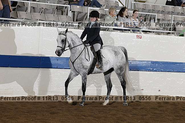 Proof 11r13_0556