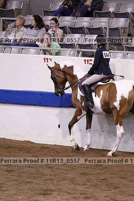 Proof 11r13_0557