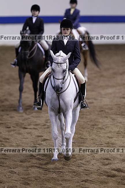Proof 11r13_0559