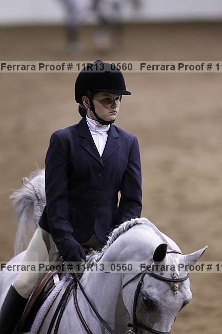 Proof 11r13_0560