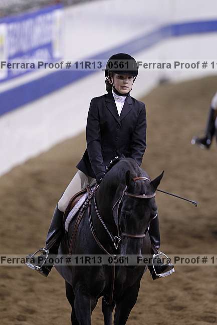 Proof 11r13_0561
