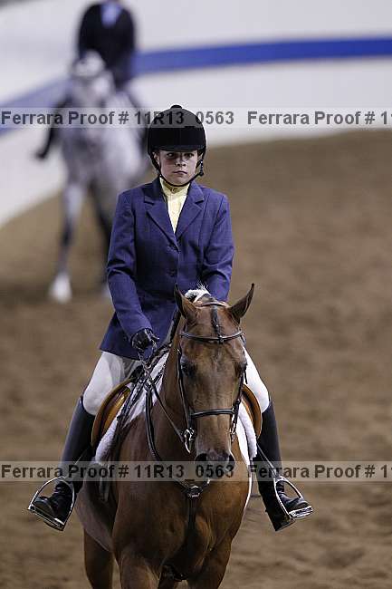 Proof 11r13_0563