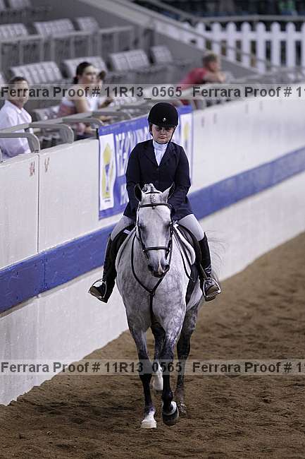 Proof 11r13_0565
