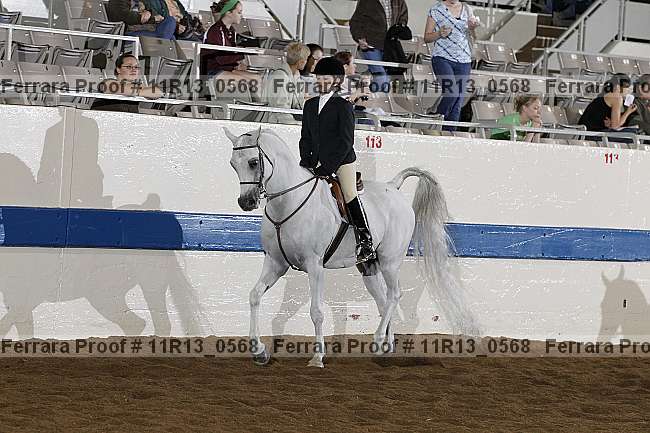 Proof 11r13_0568