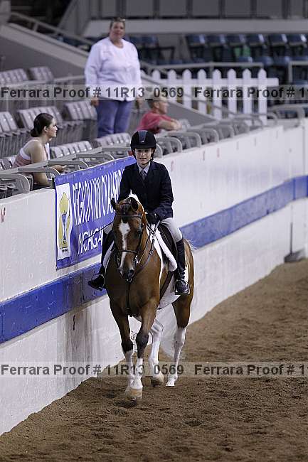 Proof 11r13_0569