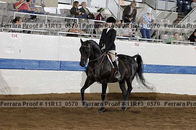 Proof 11r13_0570
