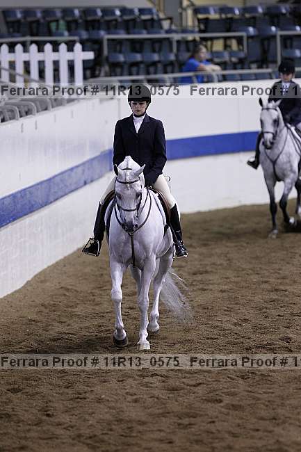Proof 11r13_0575