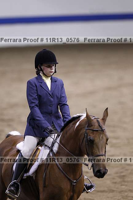 Proof 11r13_0576
