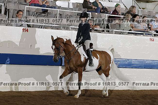 Proof 11r13_0577
