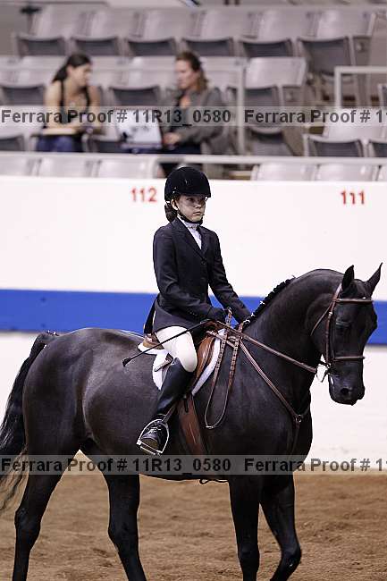 Proof 11r13_0580
