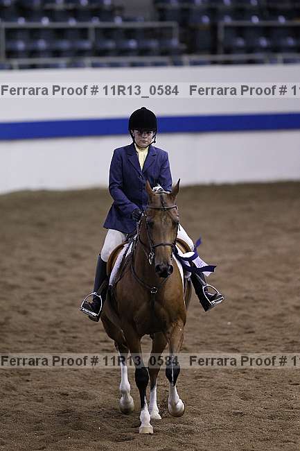 Proof 11r13_0584