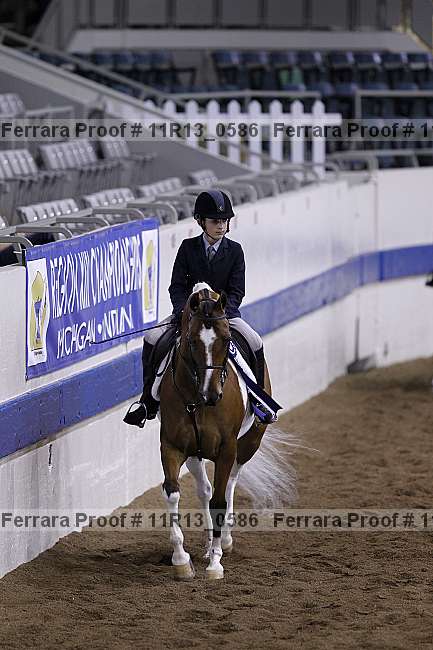 Proof 11r13_0586