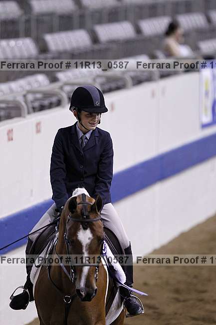 Proof 11r13_0587