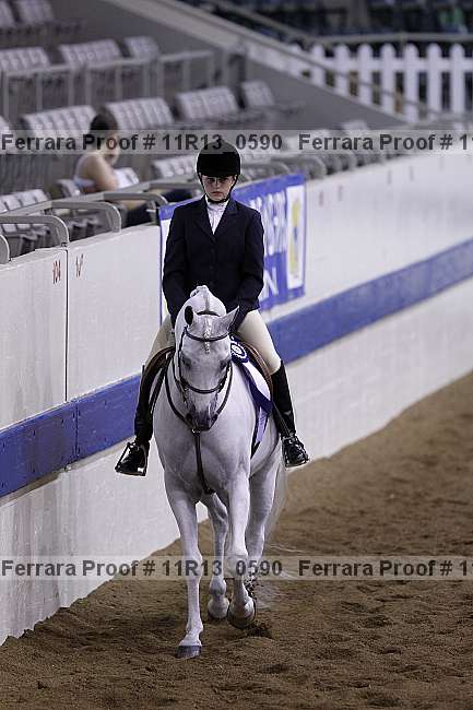 Proof 11r13_0590
