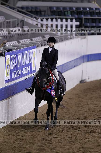 Proof 11r13_0594