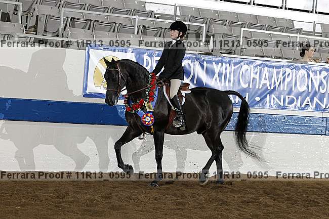 Proof 11r13_0595