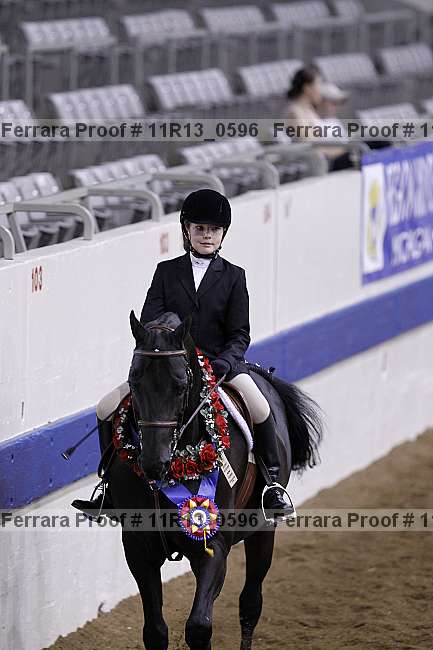 Proof 11r13_0596