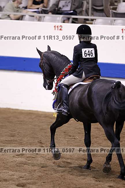 Proof 11r13_0597