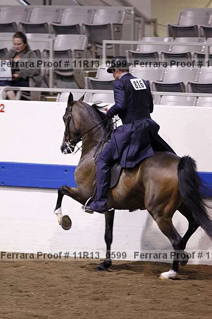 Proof 11r13_0599