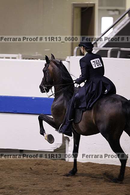 Proof 11r13_0600