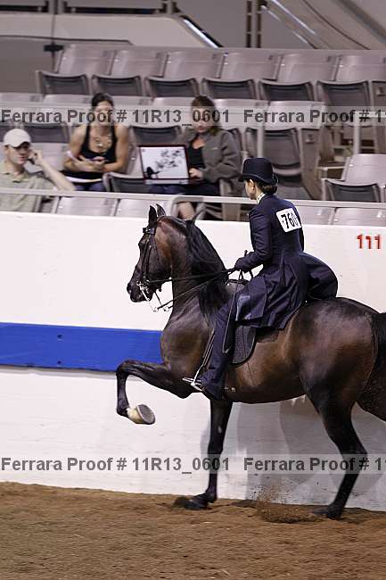 Proof 11r13_0601