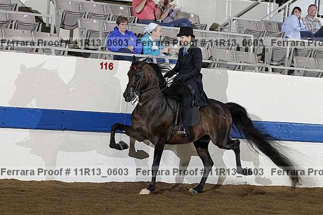 Proof 11r13_0603