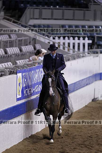 Proof 11r13_0605