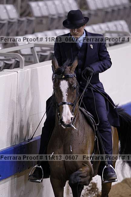 Proof 11r13_0607