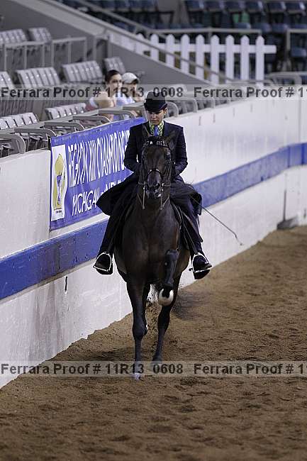 Proof 11r13_0608
