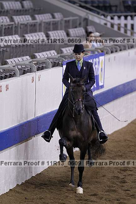 Proof 11r13_0609