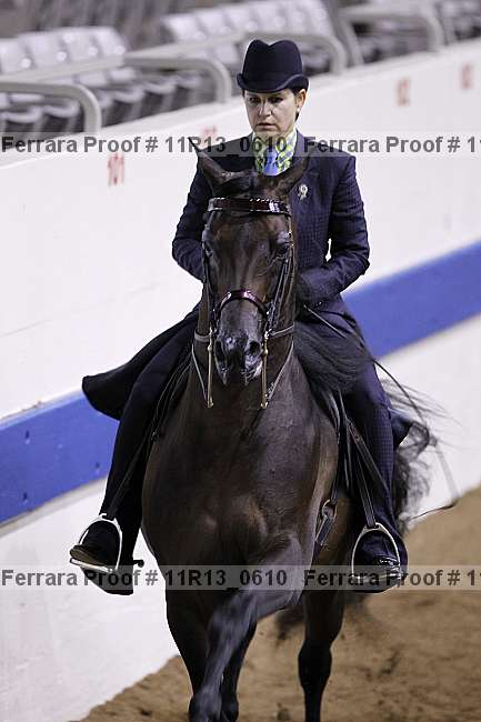 Proof 11r13_0610