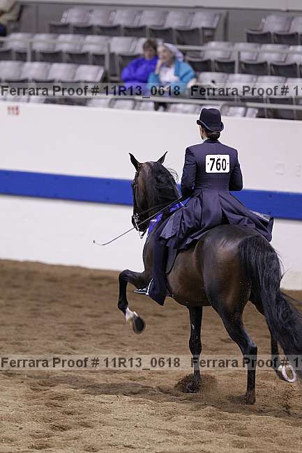 Proof 11r13_0618