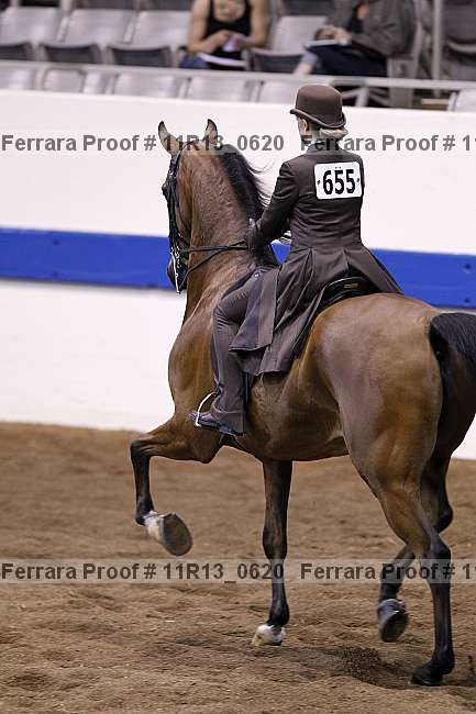 Proof 11r13_0620