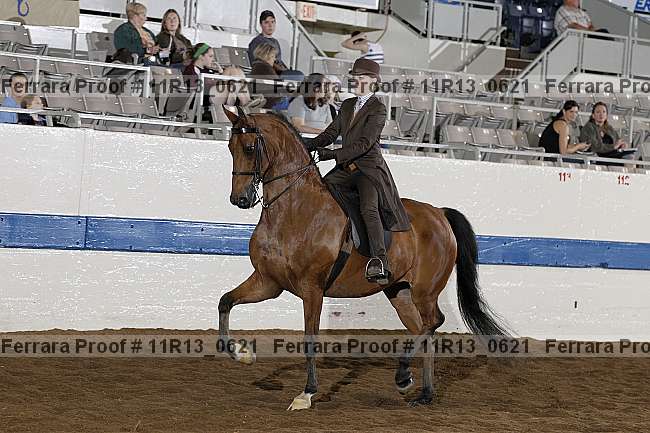 Proof 11r13_0621