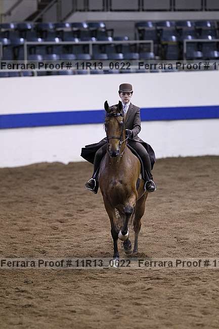 Proof 11r13_0622