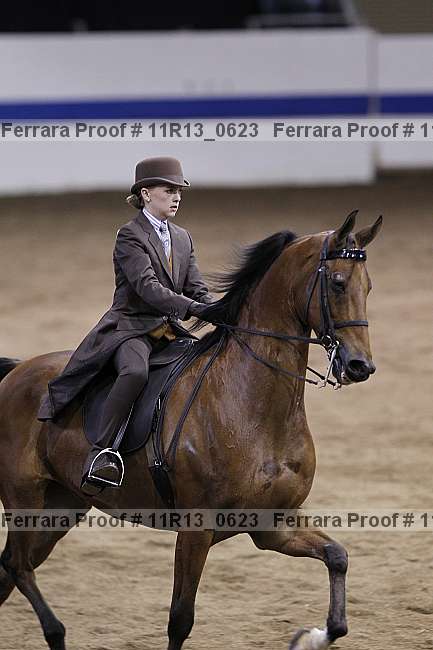 Proof 11r13_0623
