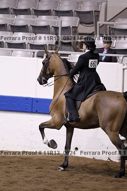 Proof 11r13_0624