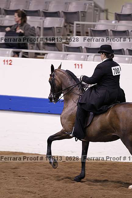 Proof 11r13_0628
