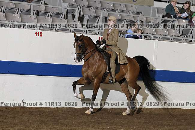 Proof 11r13_0629