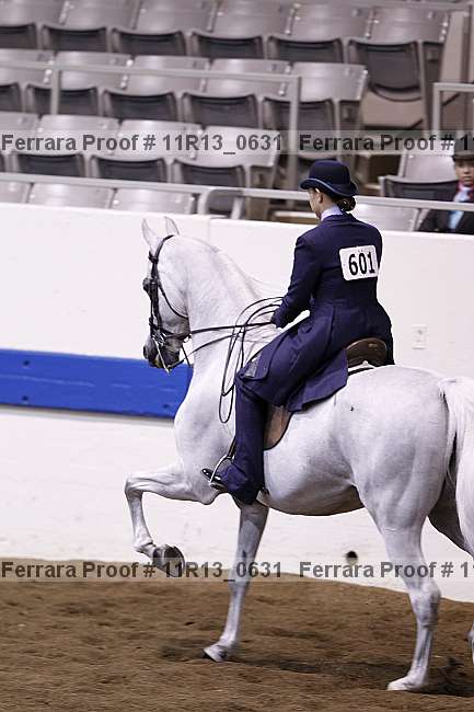 Proof 11r13_0631