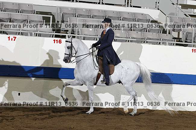 Proof 11r13_0636