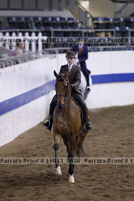 Proof 11r13_0639