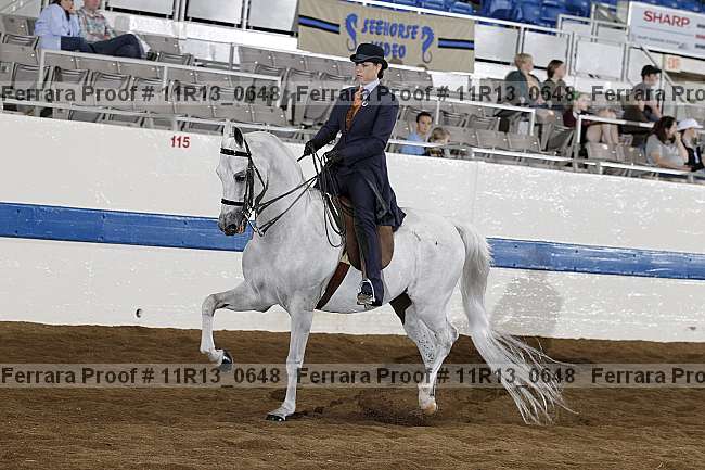 Proof 11r13_0648