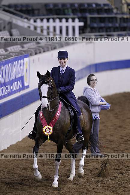 Proof 11r13_0650