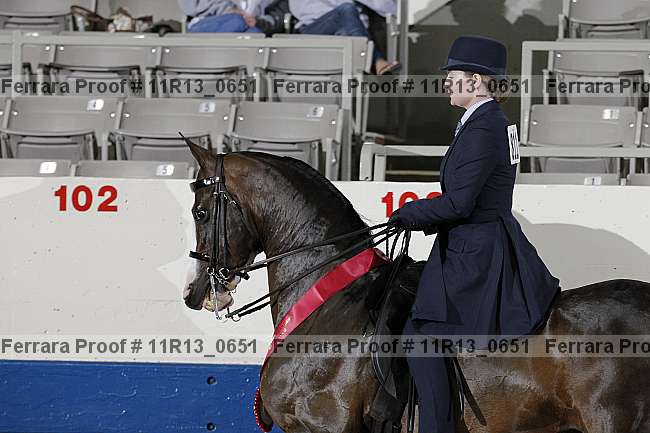 Proof 11r13_0651