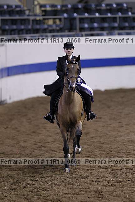 Proof 11r13_0660